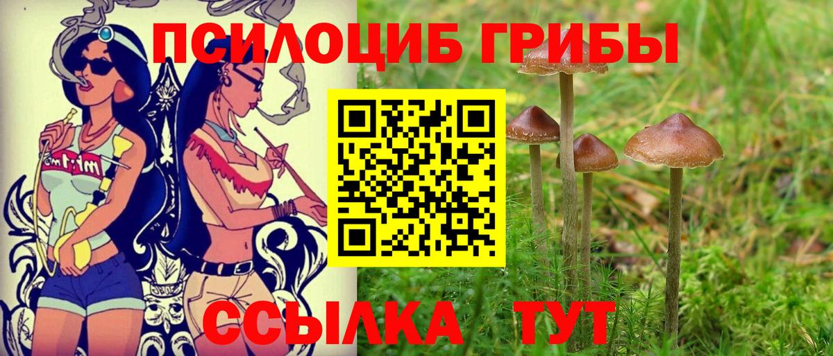 Галлюциногенные грибы Magic Shrooms Назрань