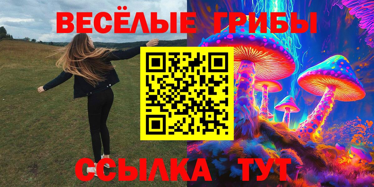 Псилоцибиновые грибы Cubensis  Псилоцибиновые грибы Cubensis  Вход с VPN  Назрань 